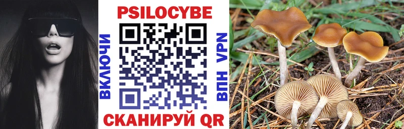 мега зеркало  Кувшиново  Галлюциногенные грибы Magic Shrooms 